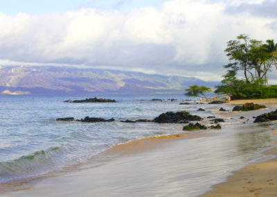 Maui Beach